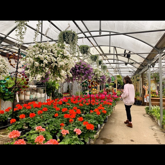 Meet your Posher, Cassidy - Picture 8 of 8